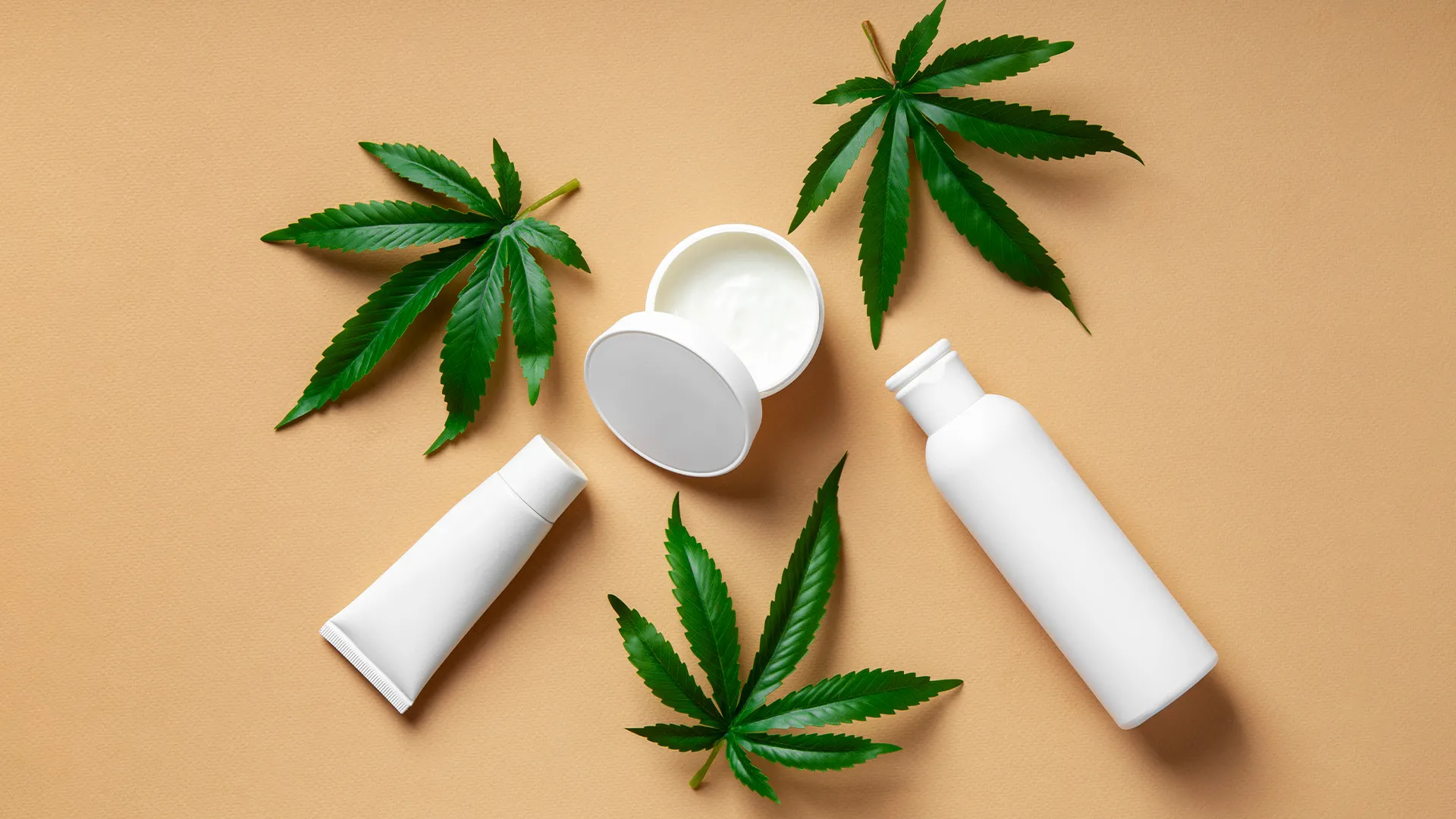 The Rise of Cannabis in Skincare